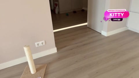 Stepbrother Accidentally Saw Step Sis Masturbate but His Dick got Hard and Sh...